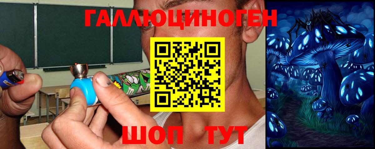 Ипатово  Псилоцибиновые грибы мухоморы  Вход с VPN 